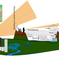 Floor van den Heuvel